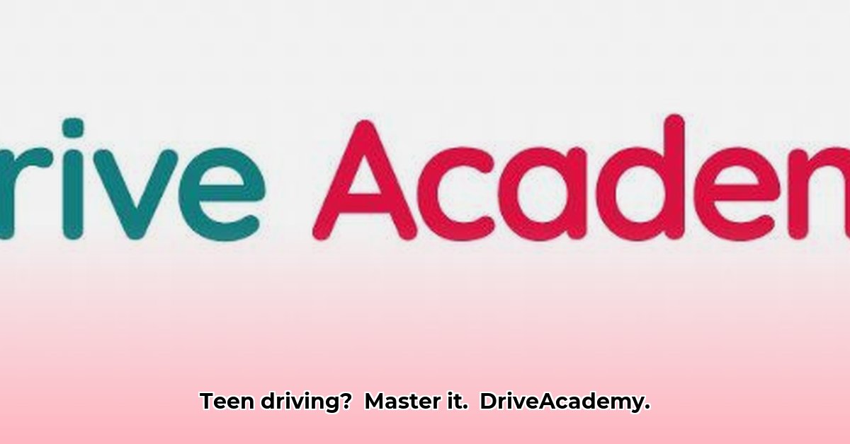 driveacademy